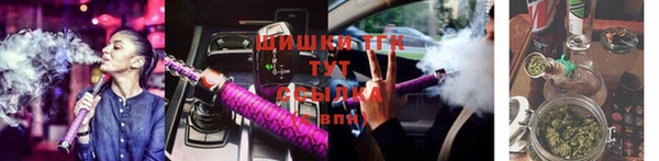 хмурый Мегион