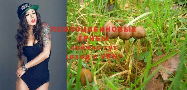 дистиллят марихуана Медногорск