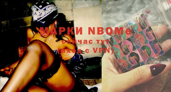 хмурый Мегион