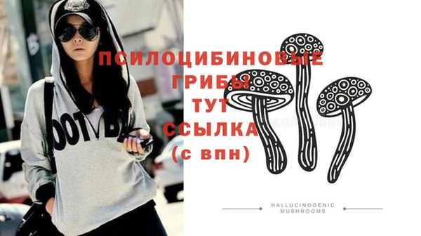 бошки Михайловск